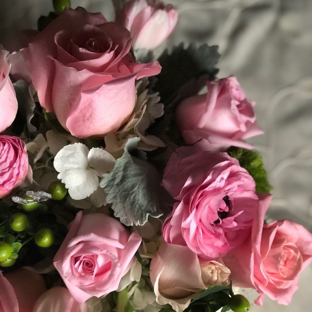 Meet your Posher, Elaine